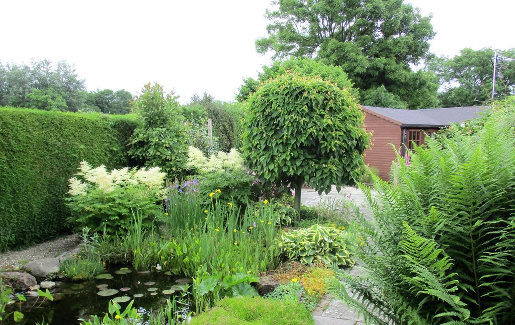 The Garden Lodge Llynclys المظهر الخارجي الصورة